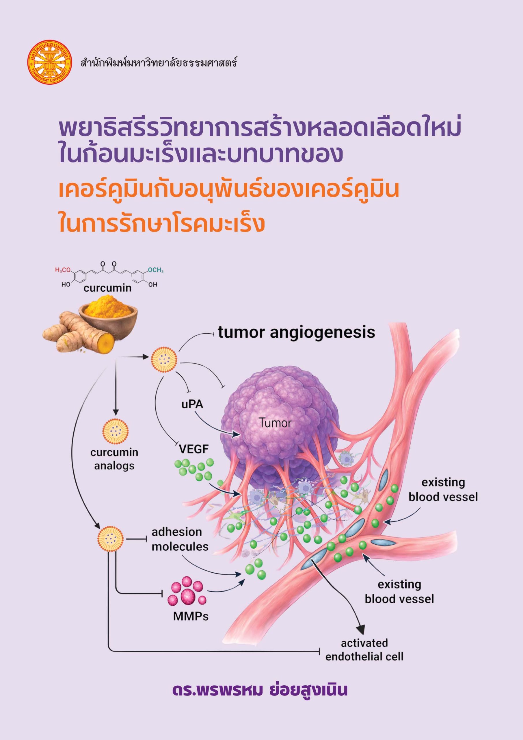 พยาธิสรีรวิทยาการสร้างหลอดเลือดใหม่ในก้อนมะเร็งและบทบาทของเคอร์คูมินกับอนุพันธ์ของเคอร์คูมินในการรักษาโรคมะเร็ง - Image 2